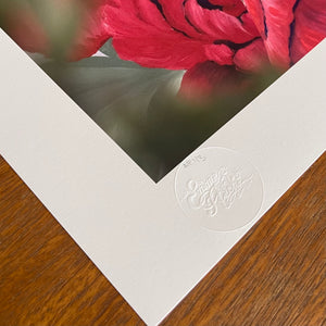 PEONY BUTTERFLY