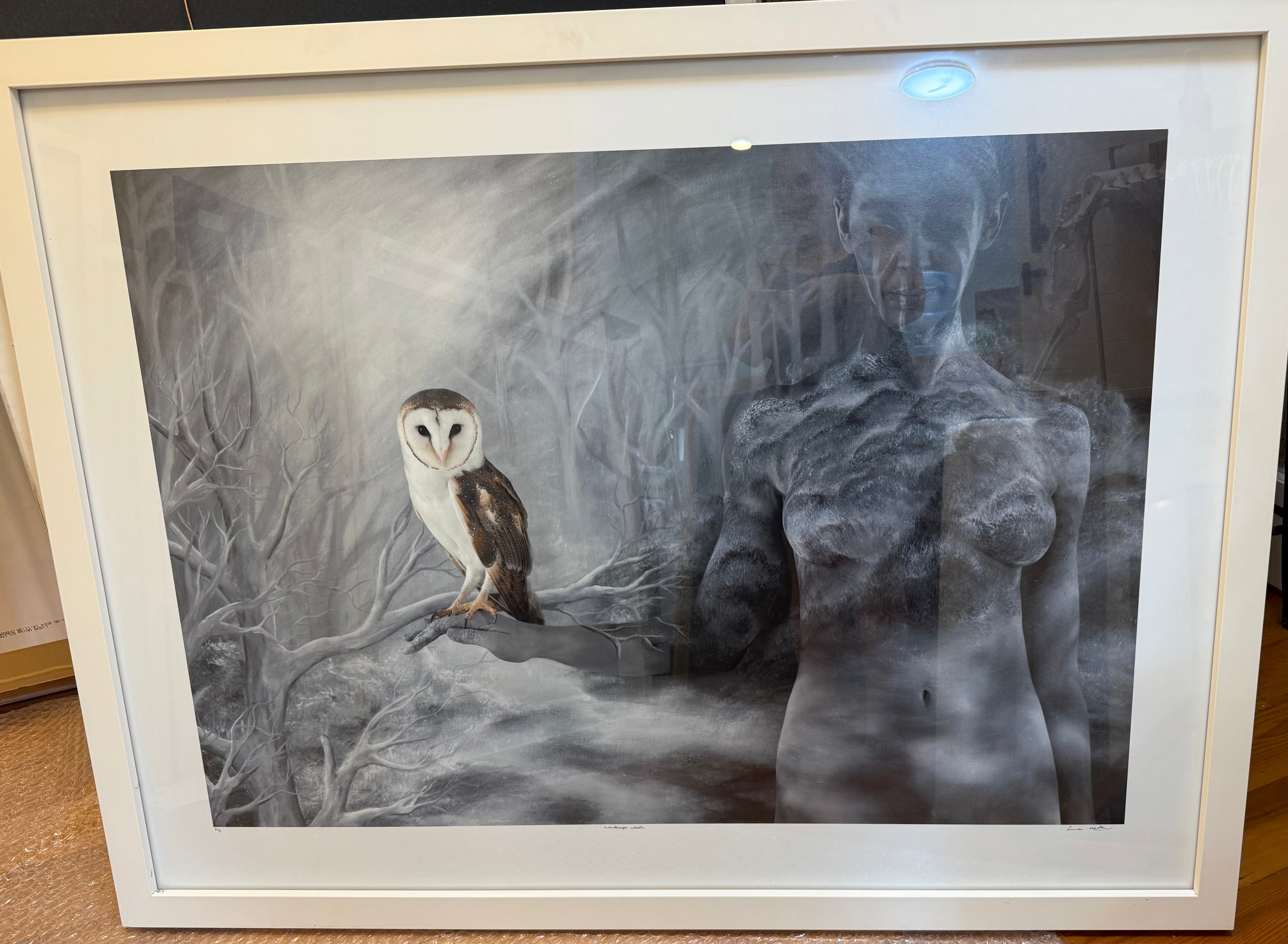 OWL OF THE WOODS 140x104cm - STOCKTAKE SALE @ 50% off - RRP $8400
