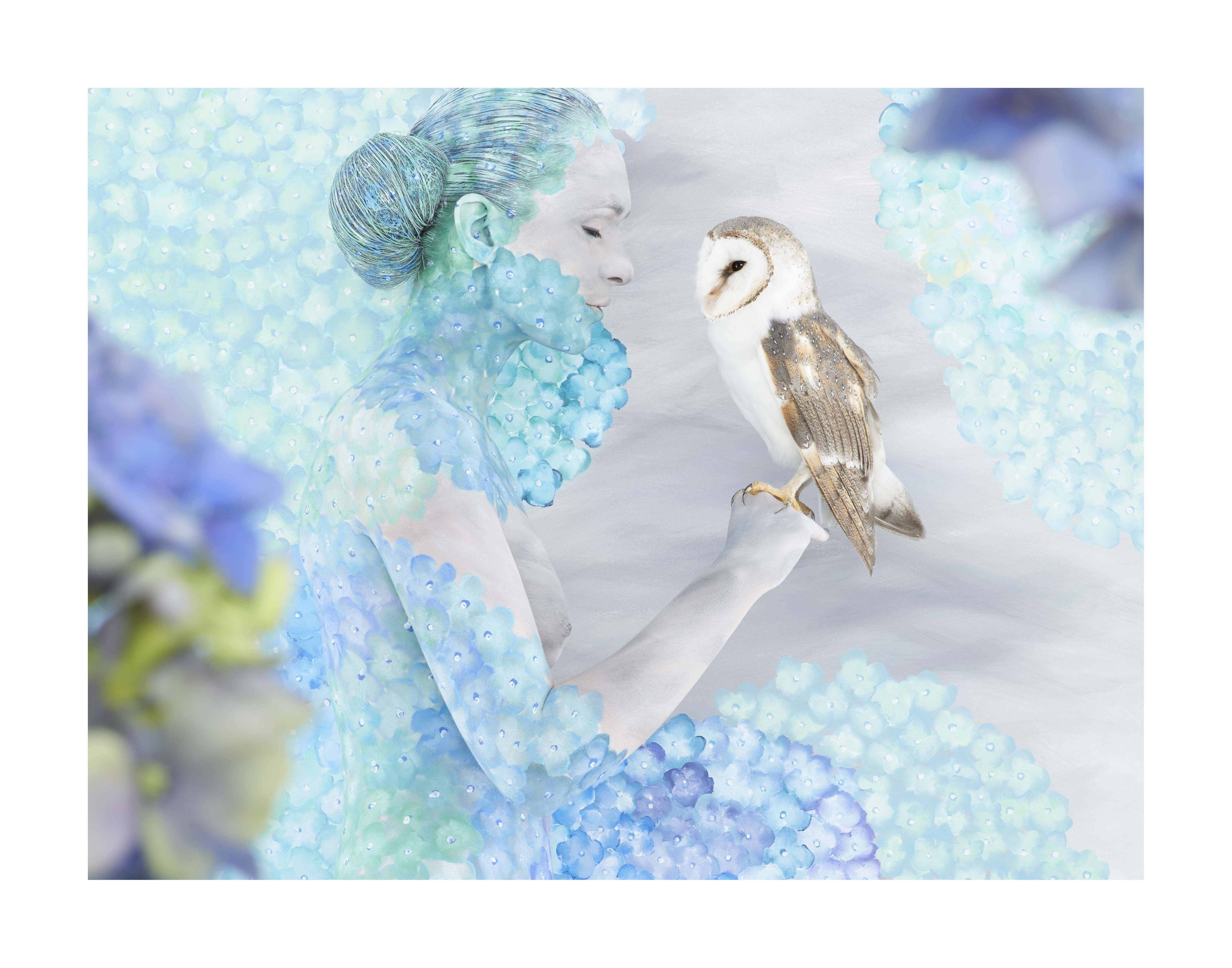 Hydrangea Owl