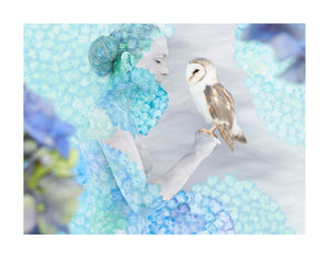 Hydrangea Owl