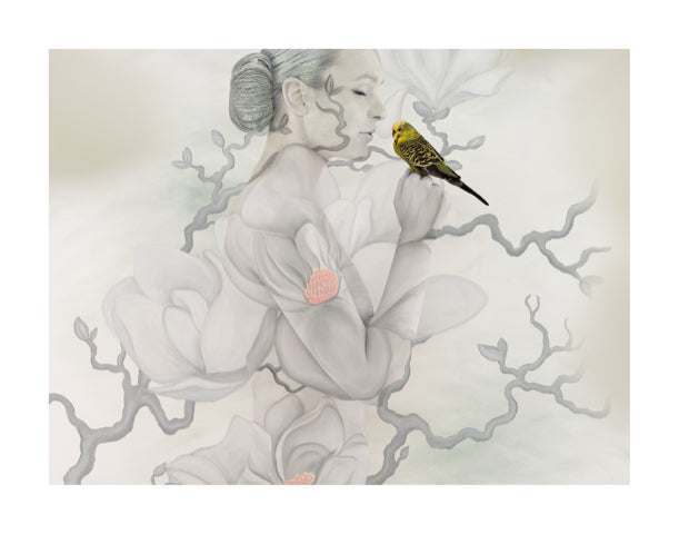 Magnolia Cradled Budgie