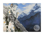 Edelweiss - 2017