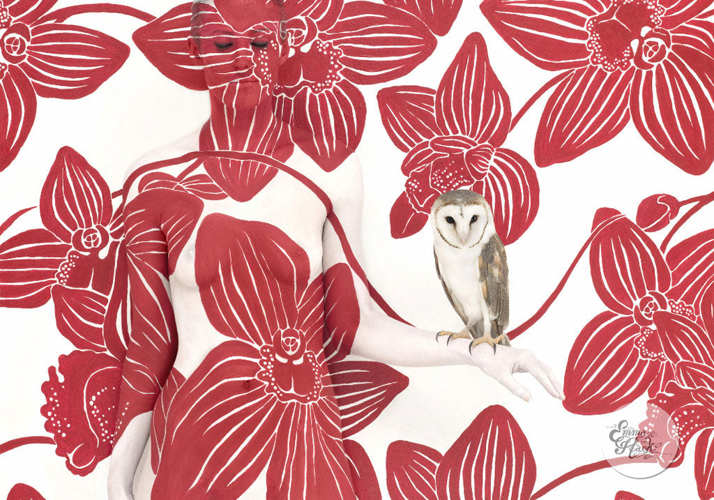 Owl on Bold Orchid