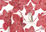 Owl on Bold Orchid
