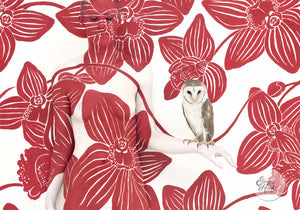 Owl on Bold Orchid