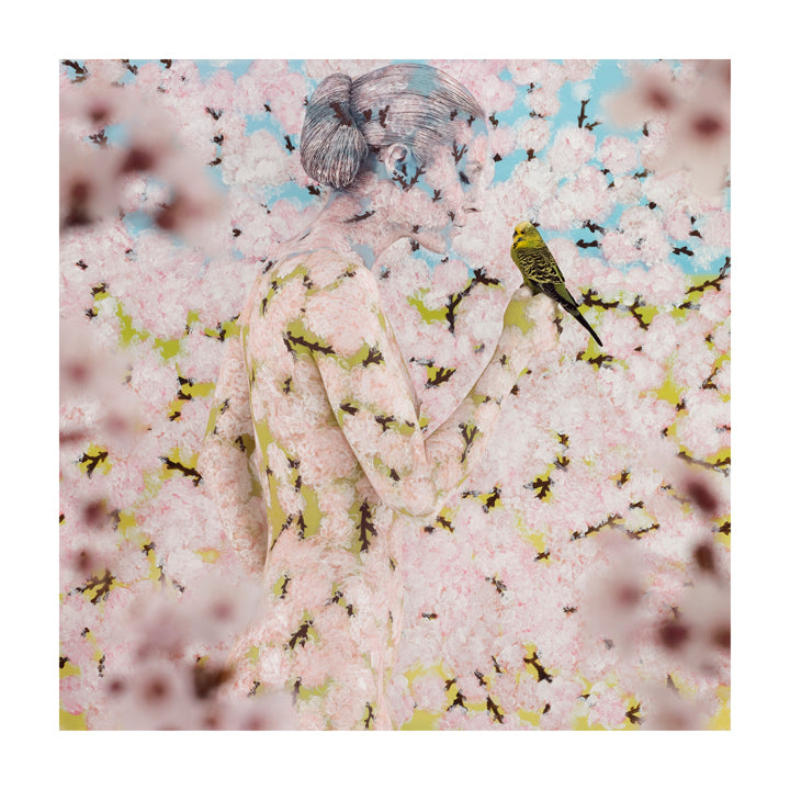 ‘BLOSSOM & BOUQUET' PAIRED