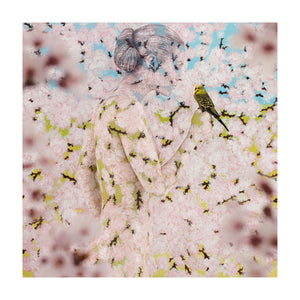 ‘BLOSSOM & BOUQUET' PAIRED