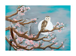 Owl on Peach Blossom