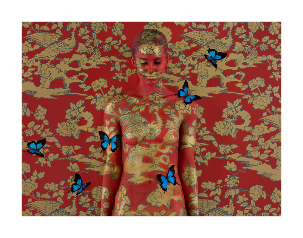 WINTER silent AUCTION - PHOENIX RISING - Reserve $950: RRP