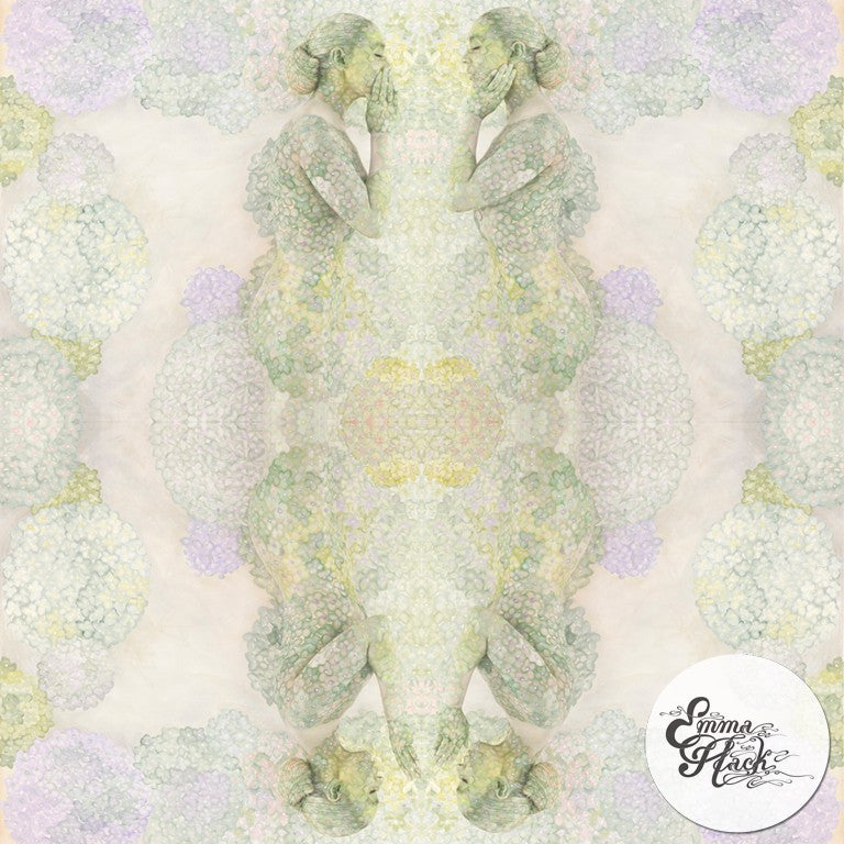Hydrangea Whispers