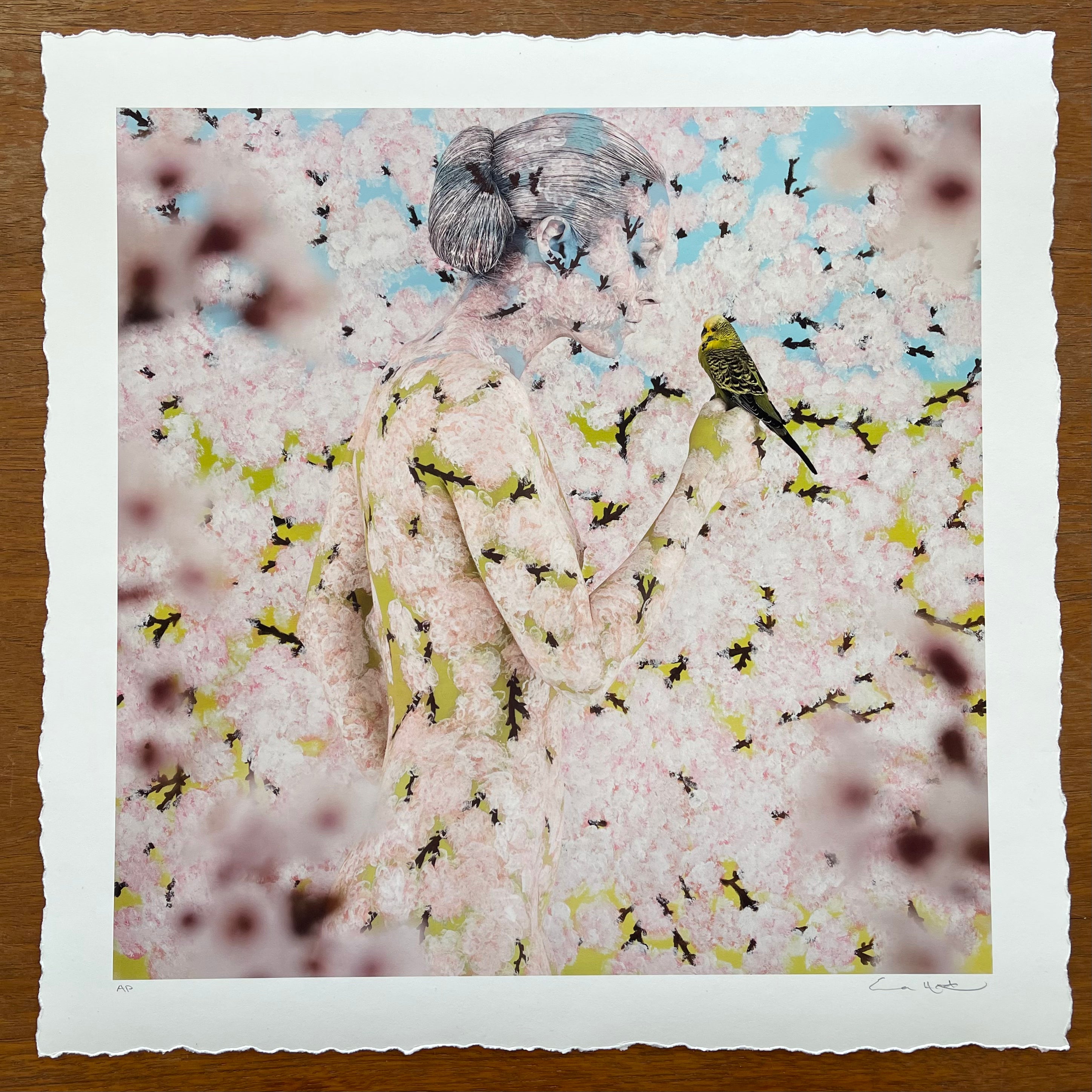 ‘BLOSSOM & BOUQUET' PAIRED