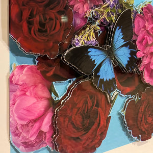 Bloom COLLAGE