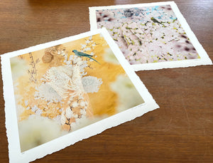 ‘BLOSSOM & BOUQUET' PAIRED