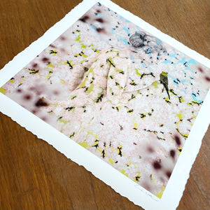 ‘BLOSSOM & BOUQUET' PAIRED